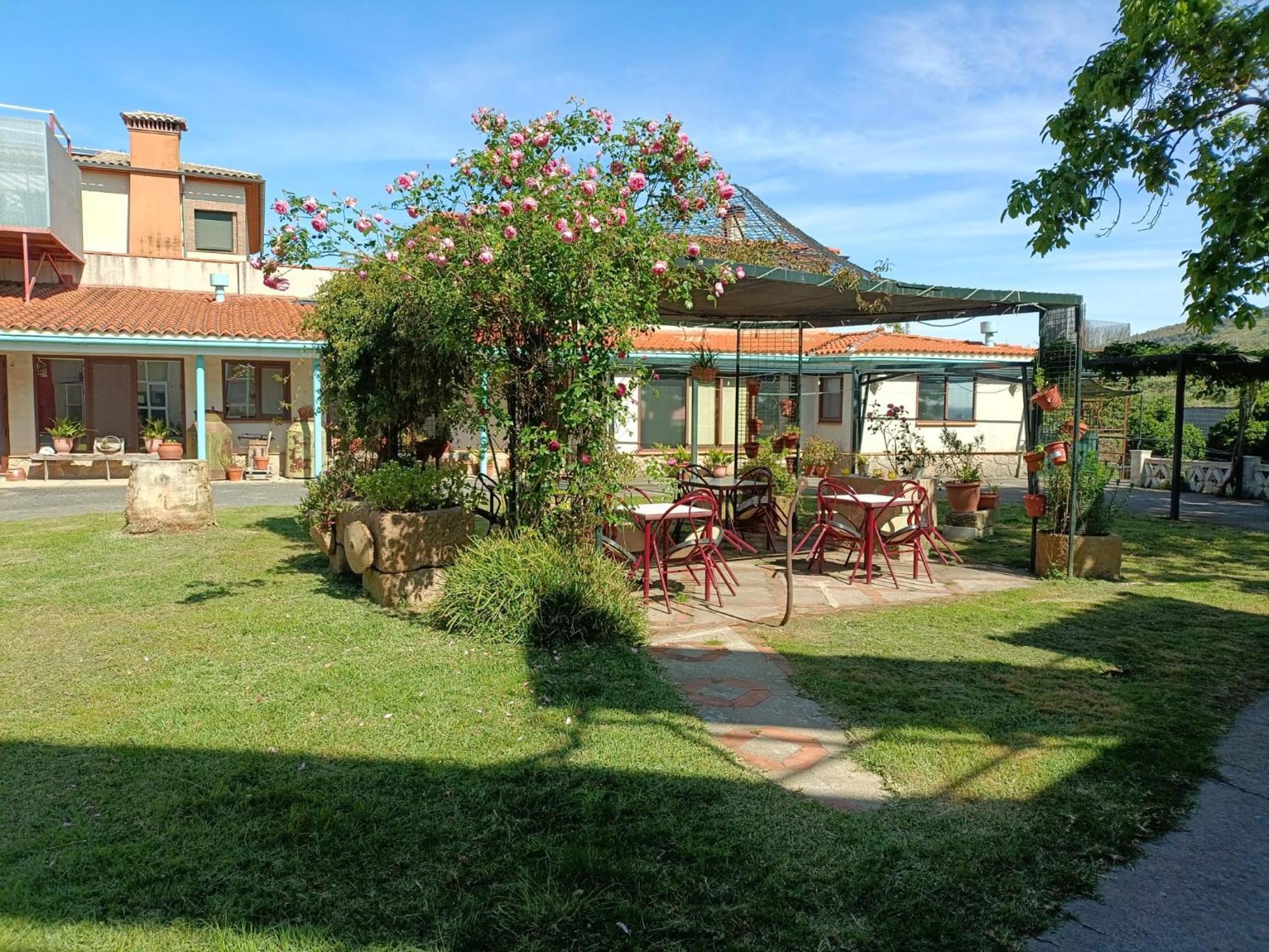Casa Rural Del Corral Мальпартіда-де-Пласенсія Екстер'єр фото